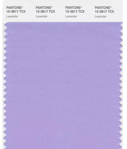 淡紫色配什么颜色好看图片