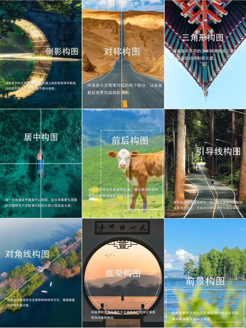 拍照技术的技巧和方法构图图片详解图3