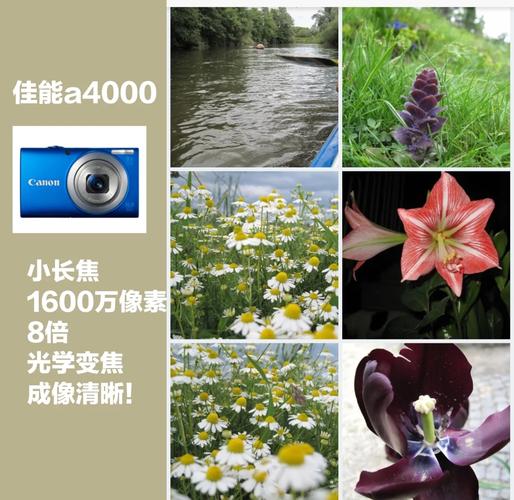 照片怎么提高像素大小和像素图1