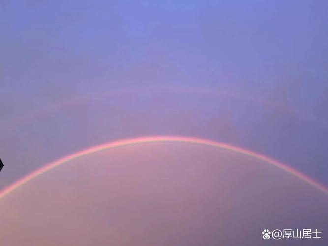 紫色光怎么拍图3