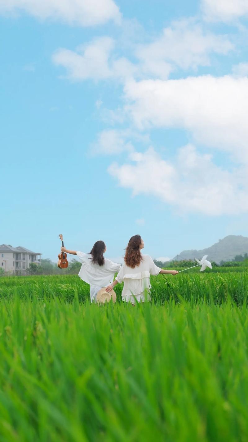 稻田拍照如何摆姿势图片