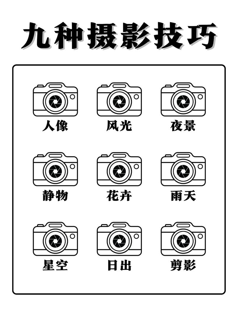 零基础学手机摄影应该从哪里开始图2