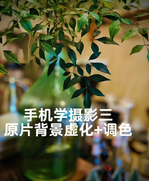 模糊的照片可以修复清晰吗手机图3