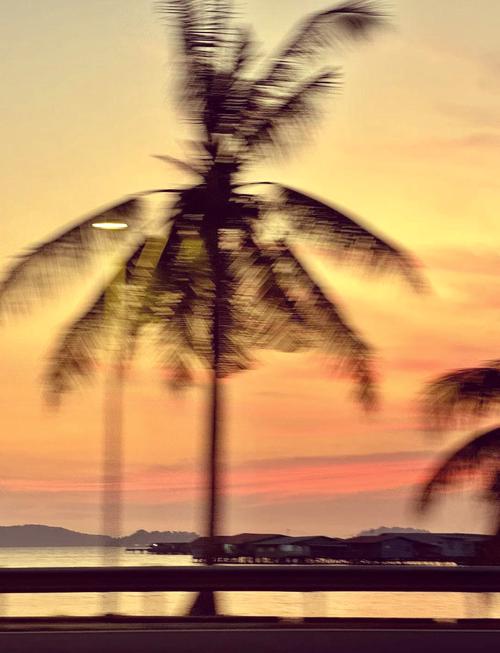 手机拍照模糊不清能修吗?