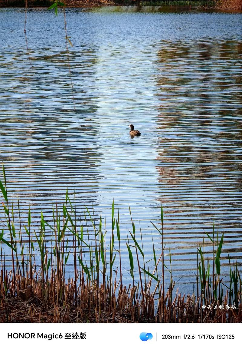 便宜的拍照手机推荐千元以下图3