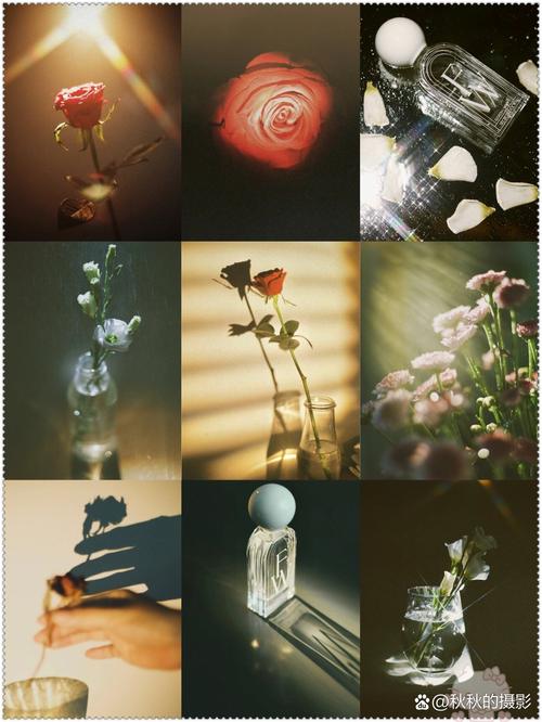 求照片合成工具