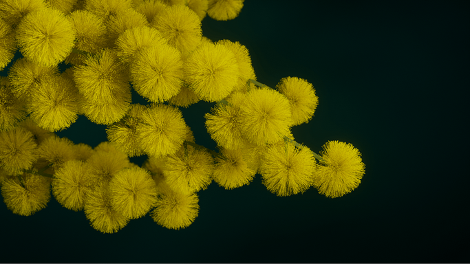 生日拍照背景图片素材图3