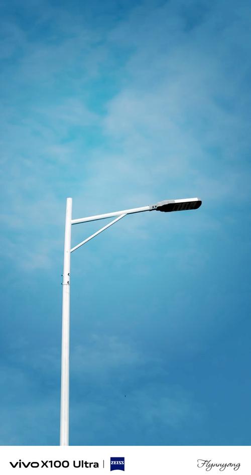 哪款vivo手机拍照最好