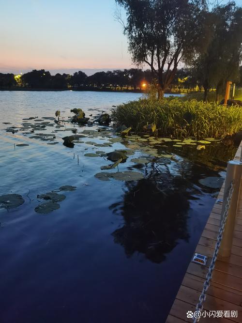 室内拍照背景图片大全图1