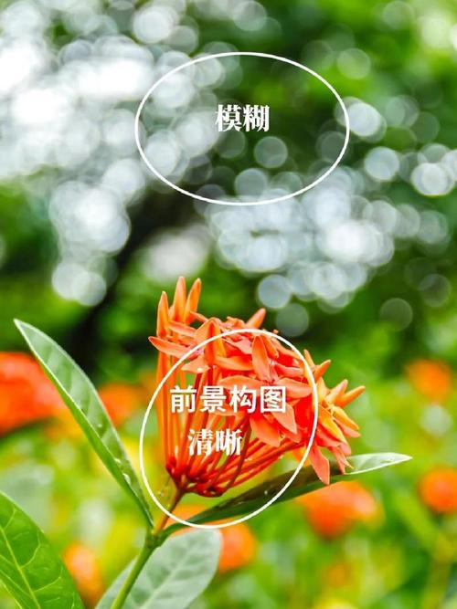 拍照的构图法有哪些图3