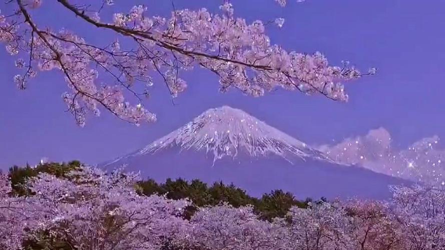 拍照背景图片古装素材无水印图2