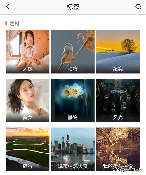 拍照软件哪款好看图3