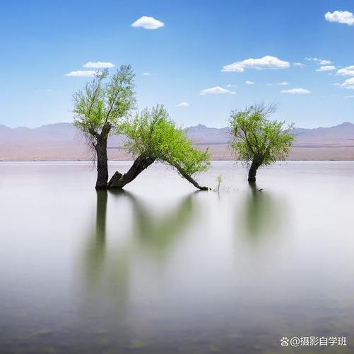 翻拍照片怎么变清晰一点大小呢图3