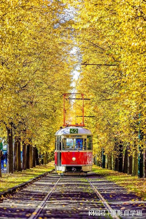 纯色拍照打光图片蓝色怎么调图2