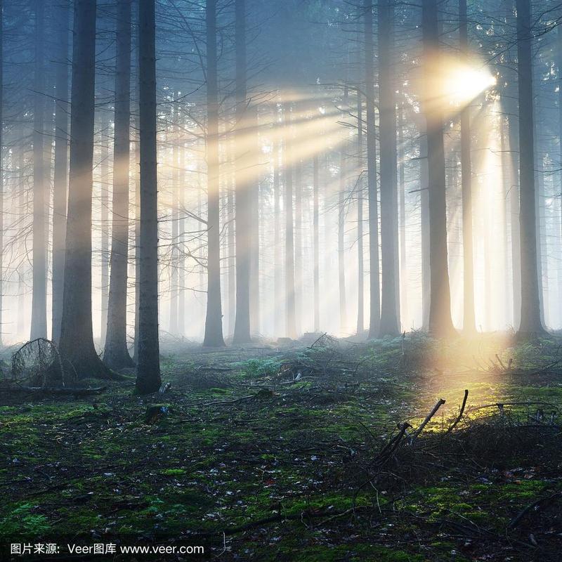 在强日光下迎光拍照怎样可以避免画面过于黑暗