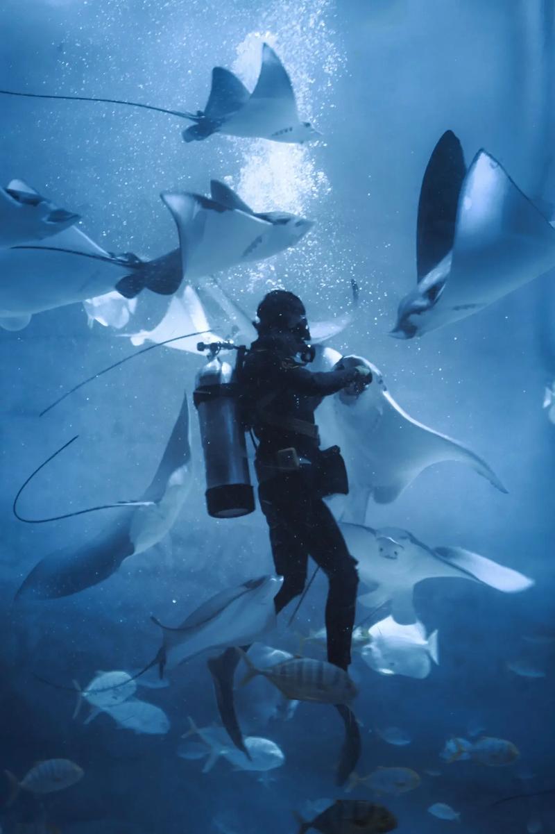 谁能帮我把背景p成蓝色两寸照片!万分感谢