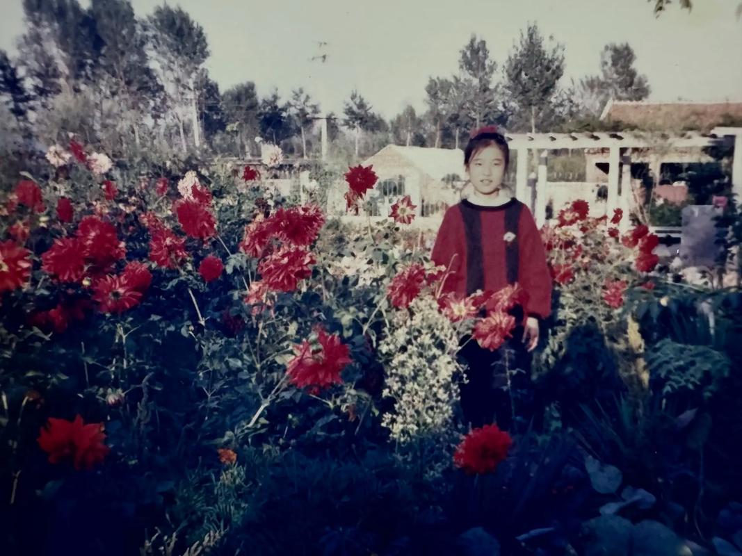 翻拍相片,怎样拍效果好看图3