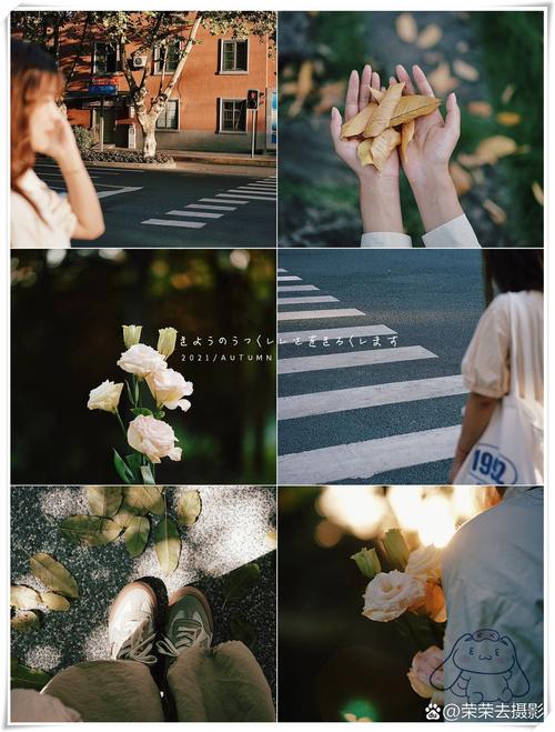 为什么有的单反拍的照片就跟用了滤镜一样唯美呢?