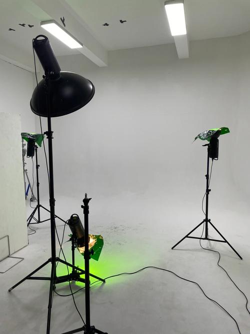 紫色拍照补光图片抖音怎么弄图3