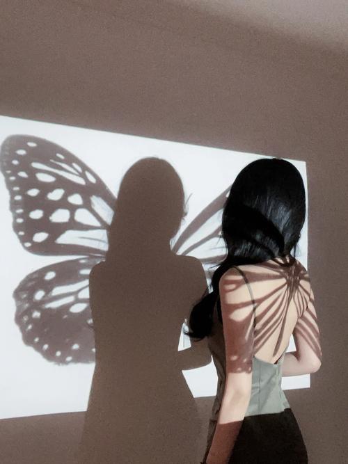 投影仪拍照背景图高清图片图2