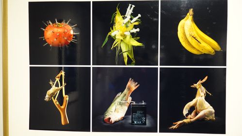 什么叫照片翻拍?