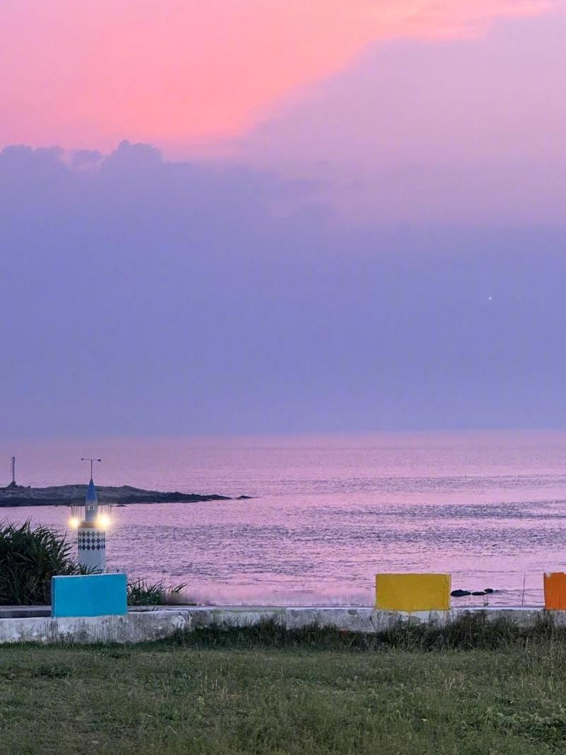 紫色衣服用什么背景拍照好图2