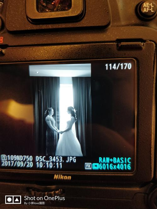 照片严禁翻拍或扫描什么意思图3