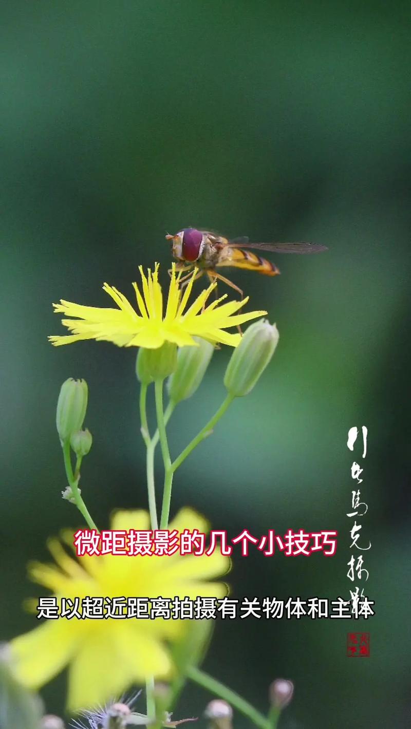 补光图片背景图图1