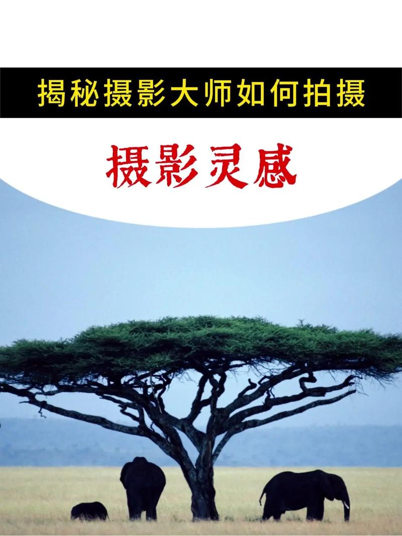 摄影十四种构图方式图2