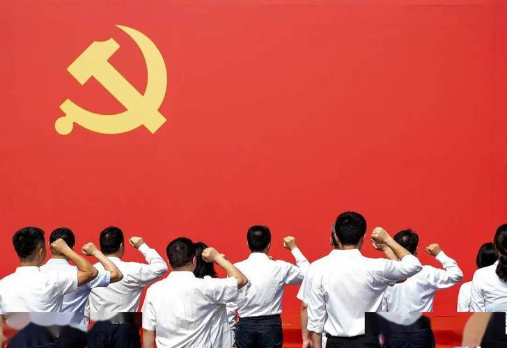 宣誓手的姿势有什么规定吗图2