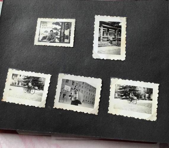 翻拍的老照片如何变清晰一点图1