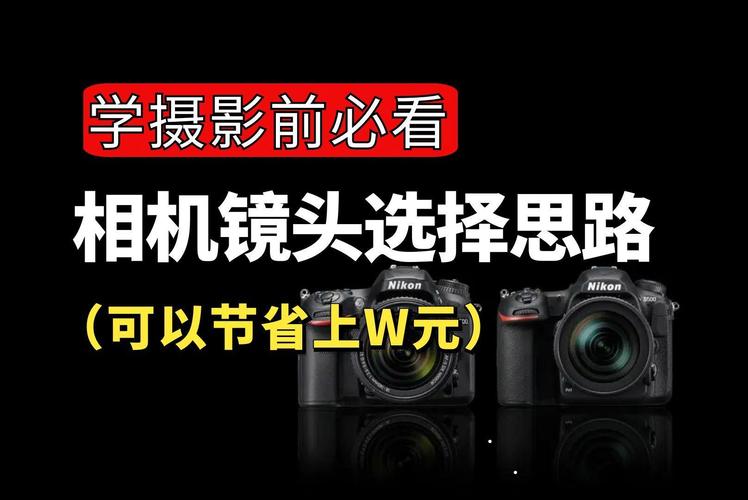 水平拍摄角度有哪些图3