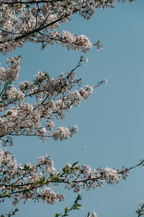 手机风光摄影八个小技巧图3