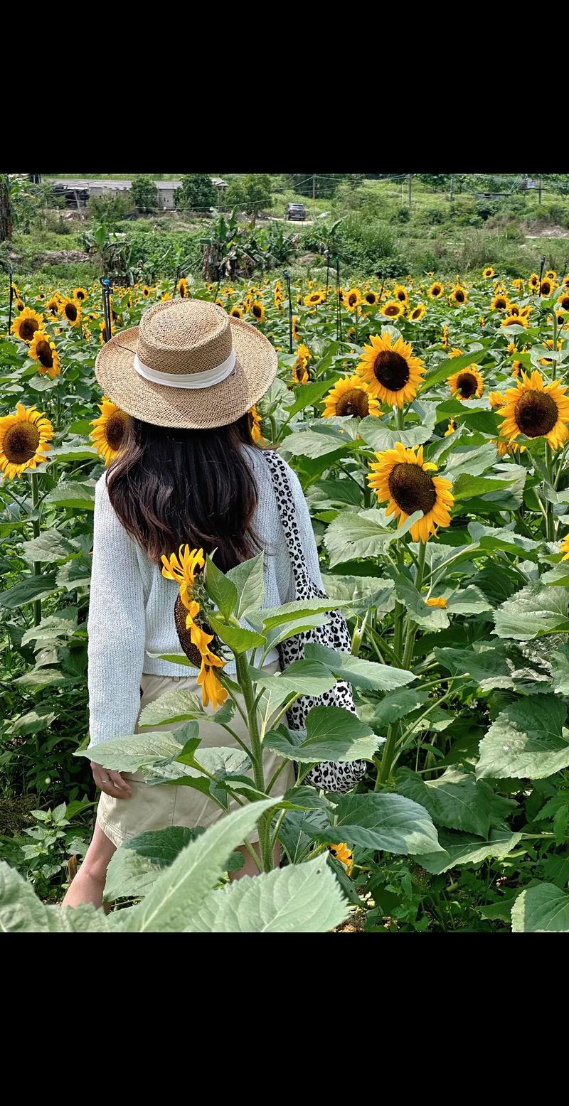 花海拍照的姿势有哪些?