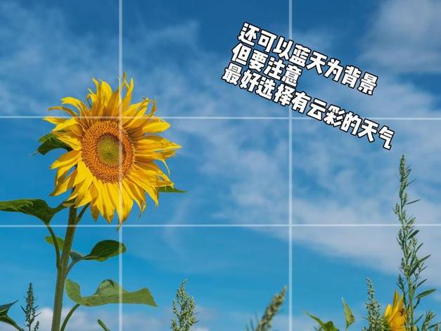 如何提高照片的像素和分辨率免费图2