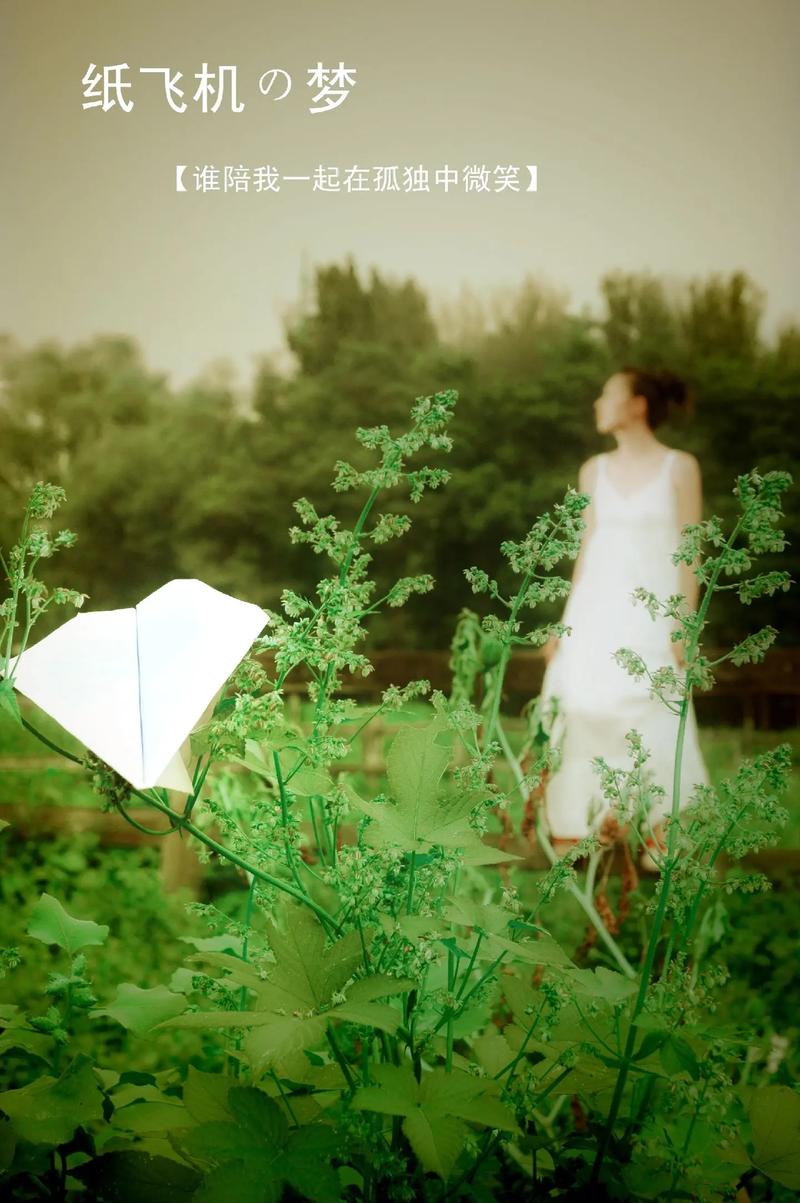 翻拍的照片怎么变清晰一点图1