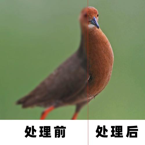 像这种模糊的旧照片用PS怎么处理变清晰?