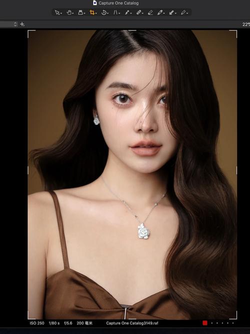 翻拍是什么意思