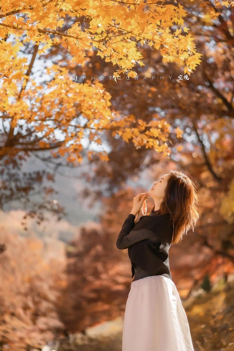 枫叶拍照姿势大全女图2