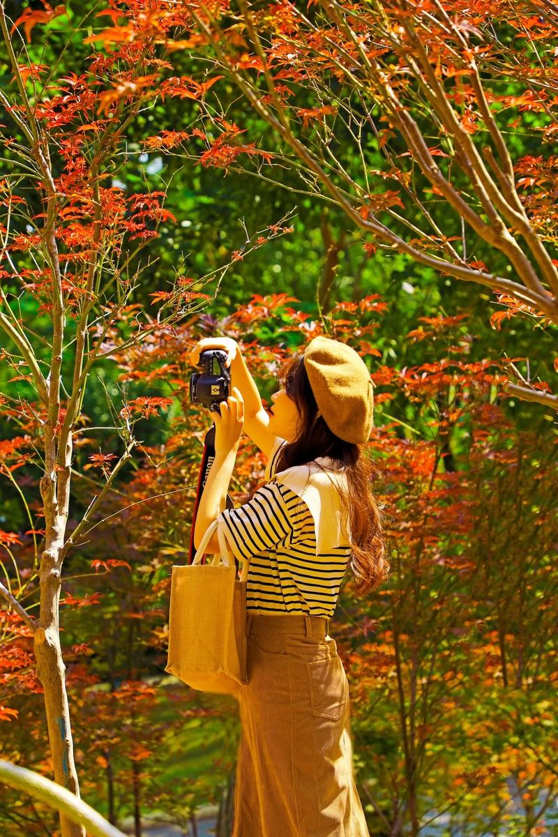 枫叶怎么拍照怎么摆姿势图片