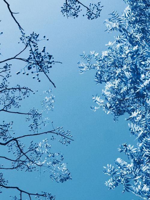 照片蓝光滤镜怎么调图2