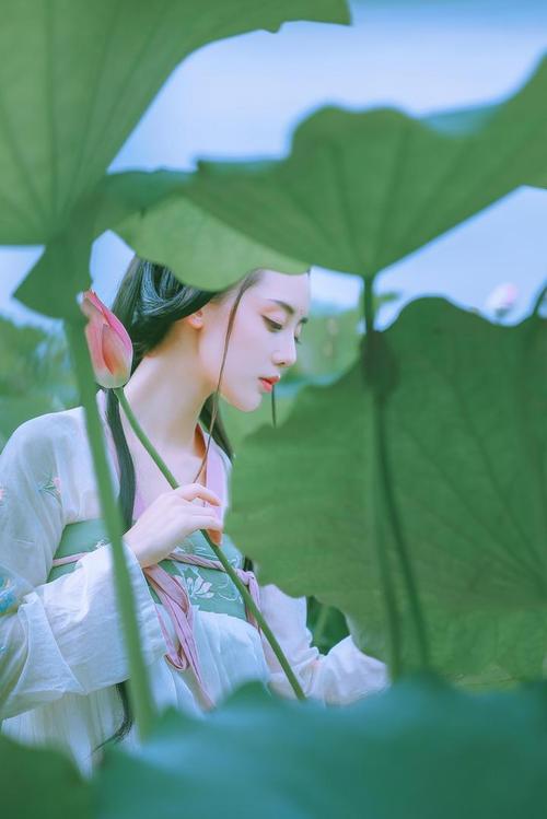 100张拍照背景图片高清图3