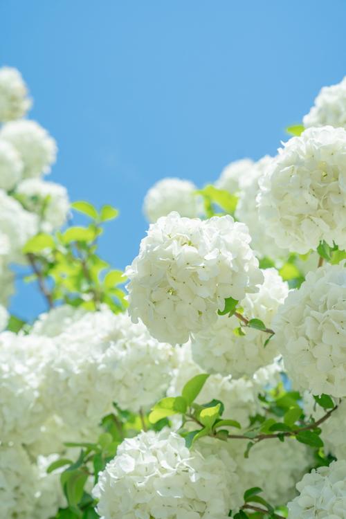 超火朋友圈背景图系列100张