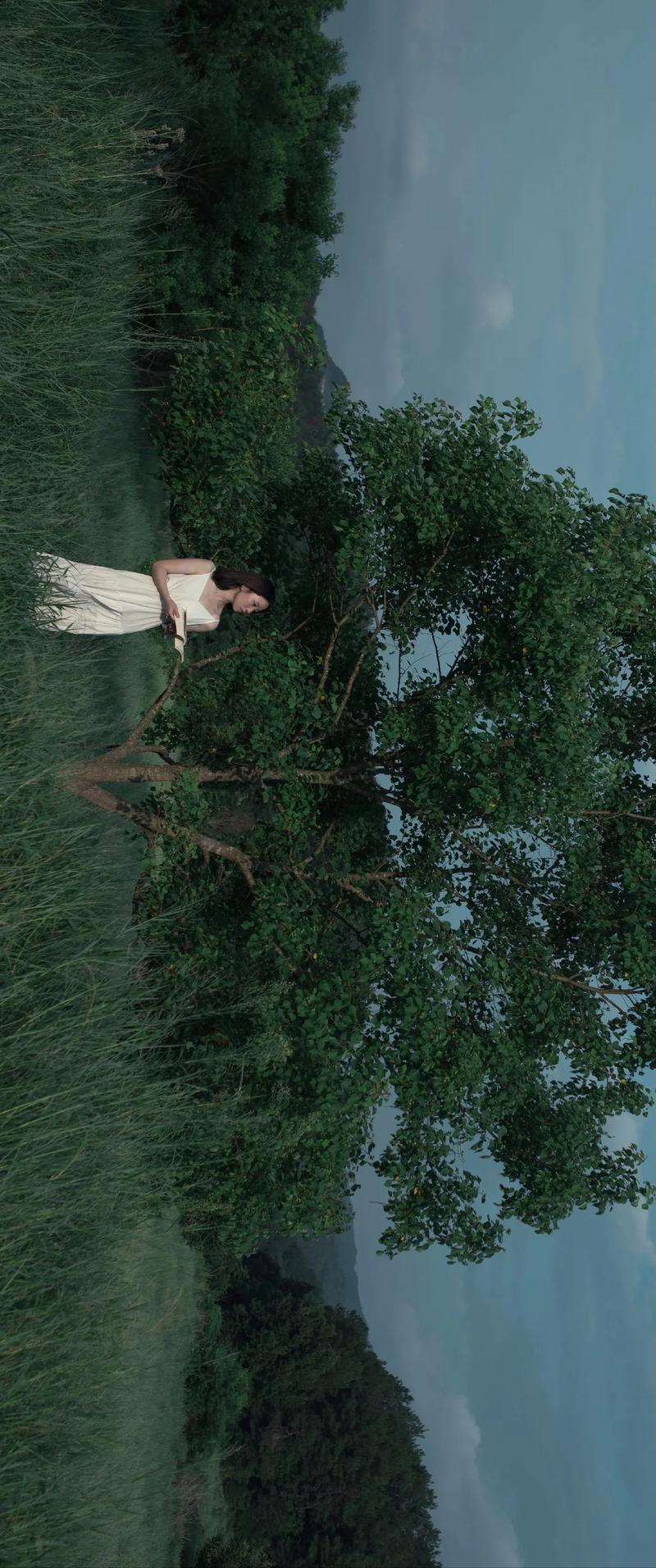 拍照角度掌握好图3