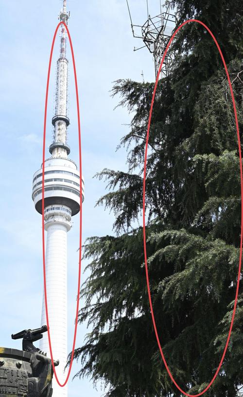 翻拍照片怎么拍最好看图3