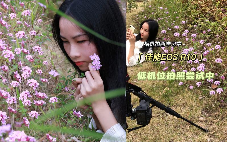 会议室拍照构图图1