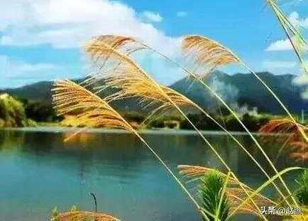 会议室拍照构图图3