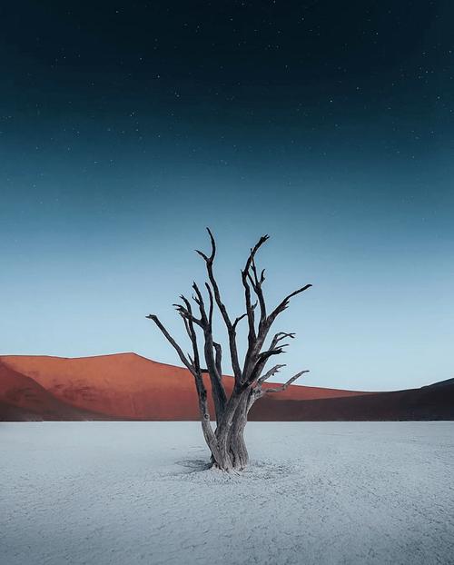 静态构图静态构图的感受