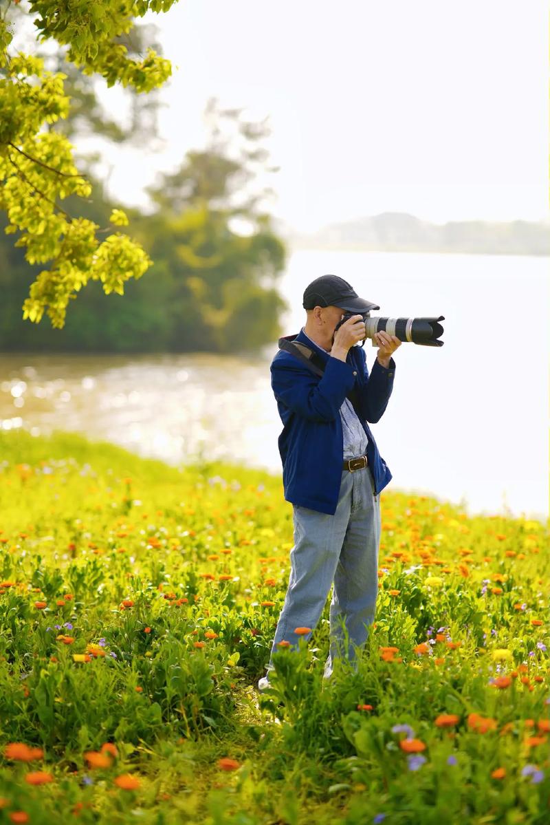 拍照打光图片纯色背景怎么弄好看图1
