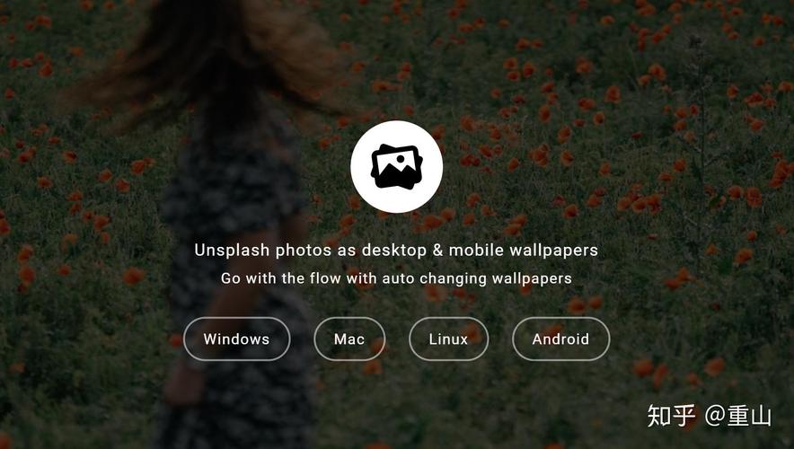 有什么壁纸软件推荐图1